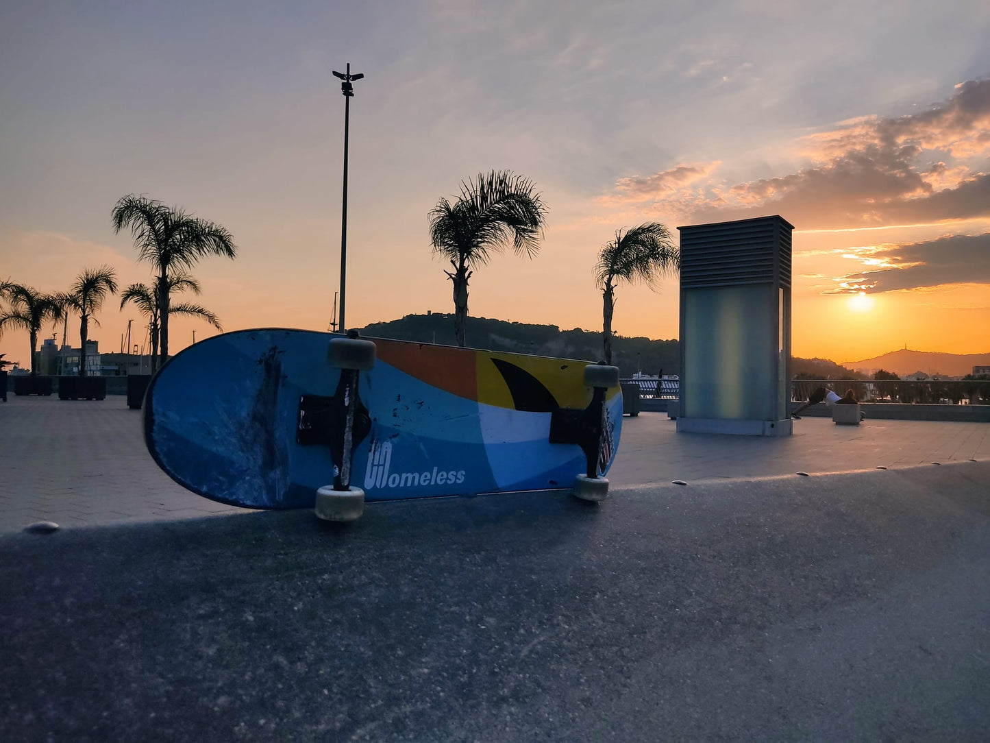 shark skateboard deck